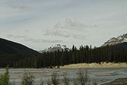 40 - Banff to Icefields - IMG_0958